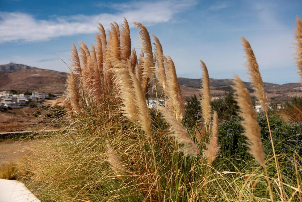 Ventu Paros Villa Márpissa Eksteriør billede
